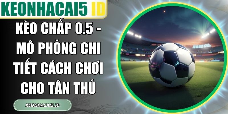 Kèo Chấp 0.5 - Mô Phỏng Chi Tiết Cách Chơi Cho Tân Thủ 1 Kèo Chấp 0.5