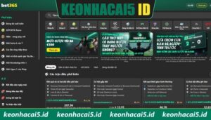 Bet365