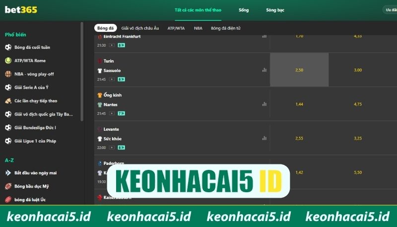 Bet365 - Nhà Cái Cá Cược Với Hệ Sinh Thái Game Đa Dạng 2 Giới thiệu Bet365 khẳng định vị thế cá cược quốc tế