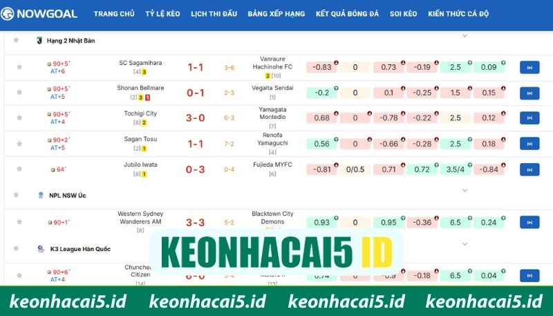 Khám phá trang Nowgoal cập nhật dữ liệu bóng đá cực nhanh