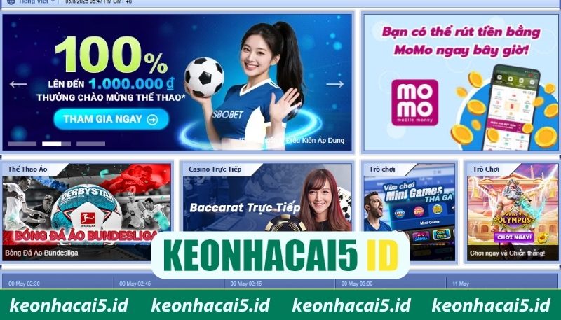 SBOBET - Địa Chỉ Cá Cược Thể Thao Uy Tín Và Thưởng Cao 3 Kho giải đấu thể thao đa dạng, hấp dẫn