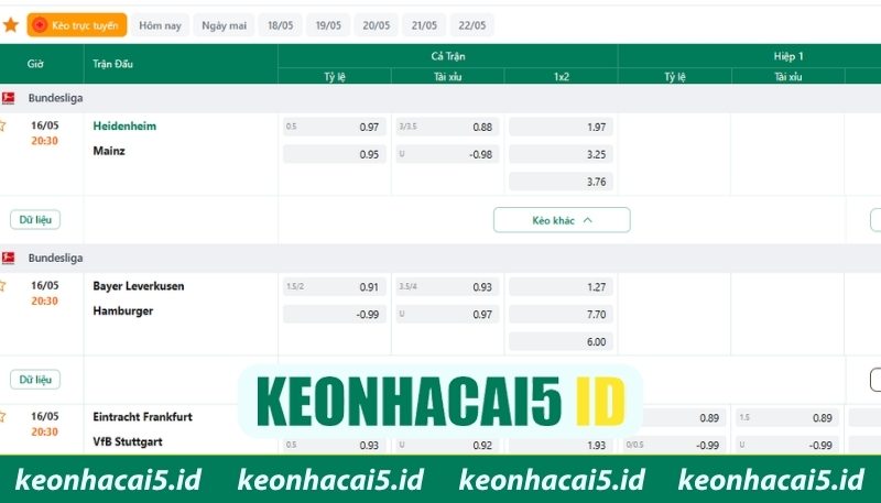 Giới thiệu tỷ lệ kèo Bundesliga cực hấp dẫn